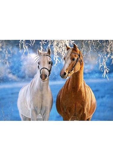 Castorland 260 Parça The Winter Horses Puzzle