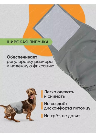 Mıra+zak Erkek Köpekler İçin Çok Kullanımlık Kilitli Kemer 173670792