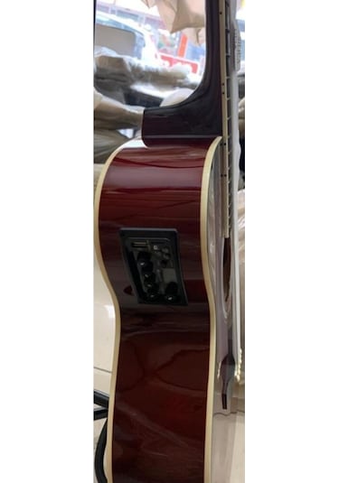 Elektro Akustik Gitar