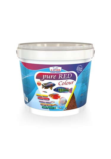 Lotus Pure Red Colour Kova 2400 G
