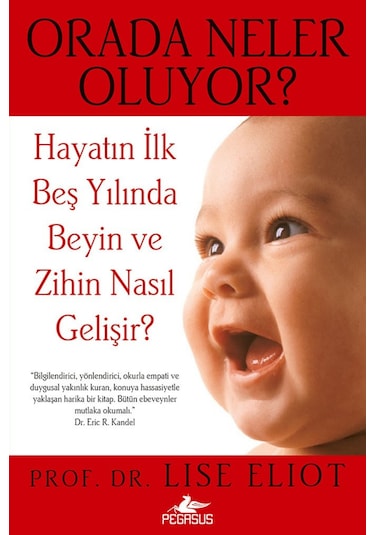Orada Neler Oluyor Prof. Dr. Lise Eliot