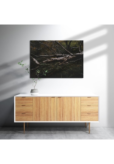 Cakasepetim Ormanda Devrilmiş Dev Ağaç Ahşap Mdf Tablo