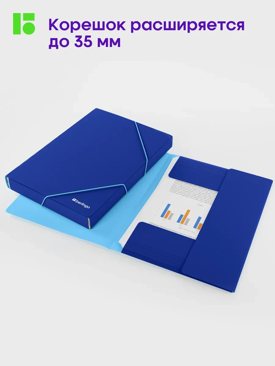 Berlingo A4 Belge Ve Yapraklar İçin Lastikli Klasör 301697504