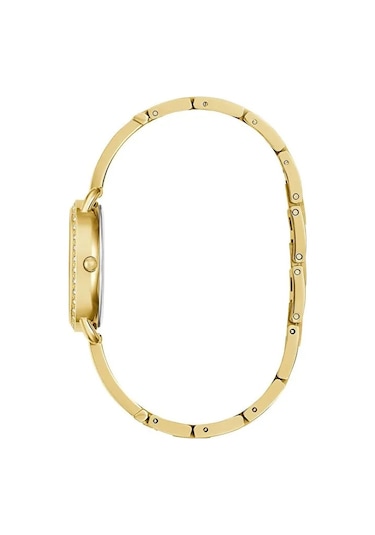Guess Gugw0914l2 Kadın Kol Saati Diğer
