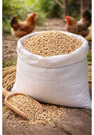 Hamtane Tavuk Yemi 20 Kg Darı Çeltik Kırık Pirinç Karışımı