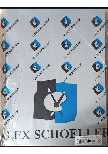 Alex Schoeller Fon Kartonu 100'lü Gri 160 Gr A4 1 Paket