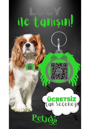 Petjoo 11.Lucy Yeşil-Gri Qr'lı Köpek Künyesi