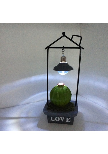 Kaktüs Figürlü Biblo Diğer