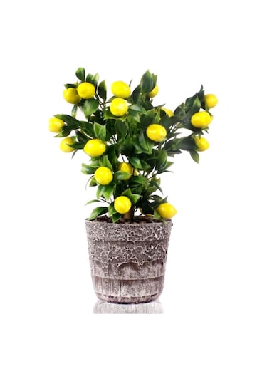Yapay Çiçek Seramik Saksıda Limon Ağacı