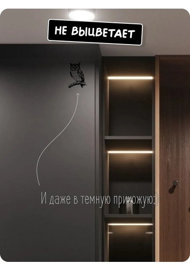 Stadi İç Mekan İçin Dekoratif Çıkartma Buçuk 223576726 Siyah