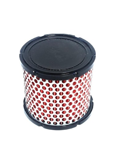 Motomaster 303-577 Hava Filtresi