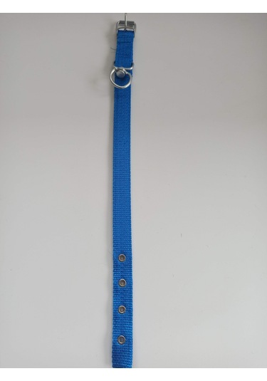 Kozaklı Küçük Irk Köpek Tasması Mavi 50 x 2.5 CM Mavi
