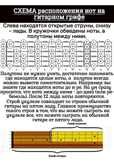 Tevdı Ukulele Boğazı İçin Yeni Başlayanlar İçin Eğitici Etiketler 104535490