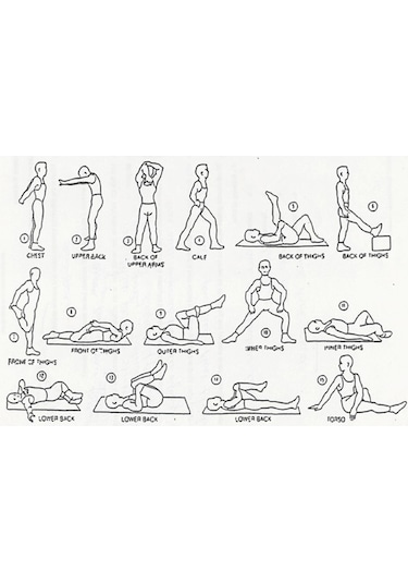 Leyaton 10 KG x 2 Adet Köşeli Mavi Plastik Dambıl Ağırlık Seti