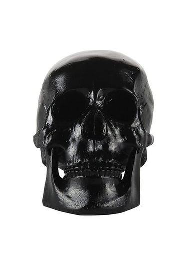 Lijinxu Reçine Çoğaltma Sanat İnsan Kafatası Modeli Parti