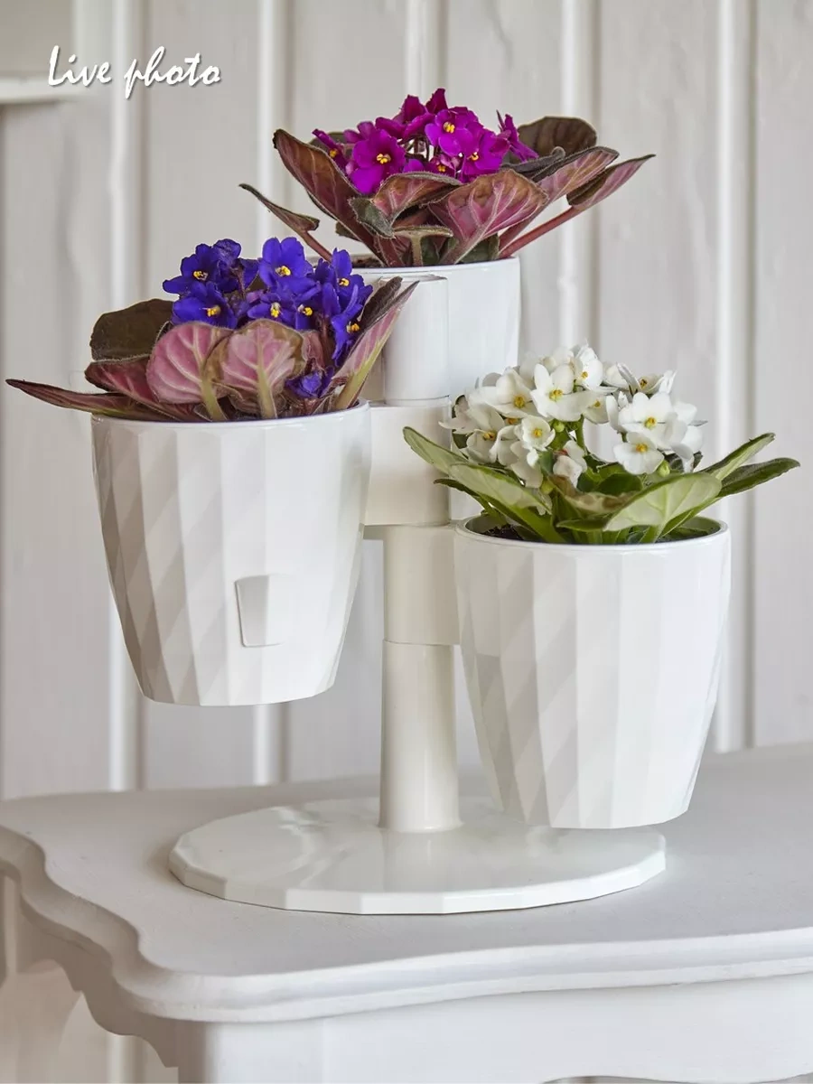 La Decoro Sukulent Saksıları, Menekşe Saksıları, Kaskad Saksılar. 120462503