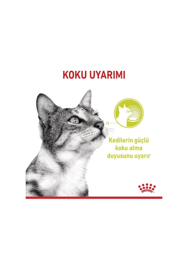 Royal Canin Sensory Smell Gravy Yetişkin Kedi Konservesi 85 G