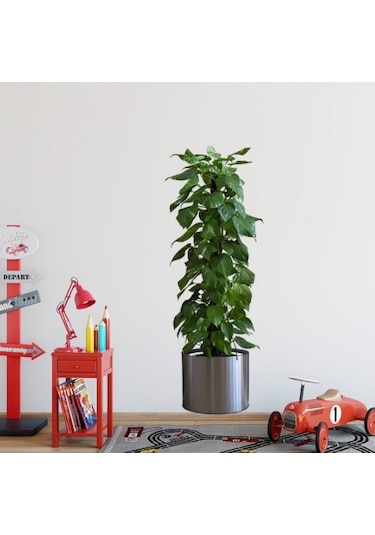 Saksılı Bitki Tasarımlı Yapışkanlı Sticker Resim 90 30 Cm 5060 Çok Renkli