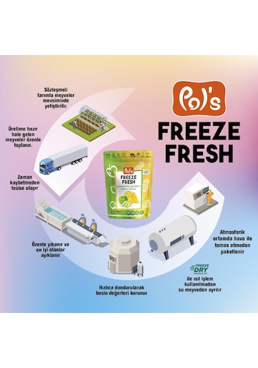 Freeze Fresh Dondurularak Kurutulmuş Ananas - Elma Mix 18 Gr. 15 G