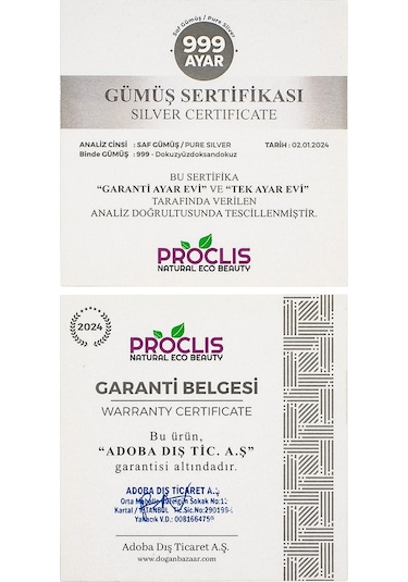Koruyucu Gümüş Göğüs Ucu Kapakları Large