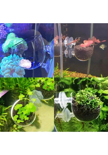 Xindoker Akvaryum Cam Bitki Askısı - Balıklar İçin Oyun Ve Saklanma Alanı, Su Kalitesini Artırır 5x6x7cm