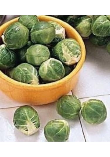 Doğal Doğal Long Island Improved Brüksel Lahanası Tohumu 50 Tohum