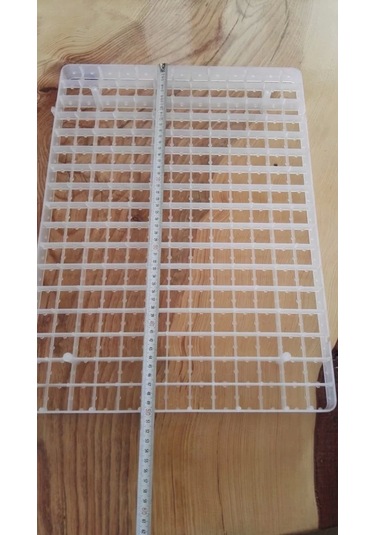 221lı Bıldırcın Gelişim viyolu