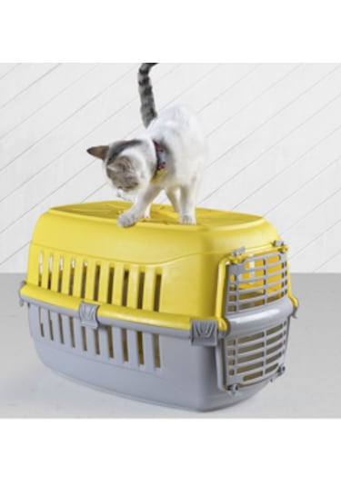 Renetic Kedi Köpek Taşıma Çantası