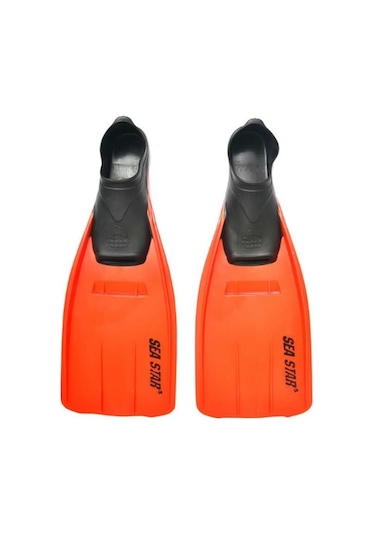 Sea Star Deniz Paleti - Çocuk Çok Renkli