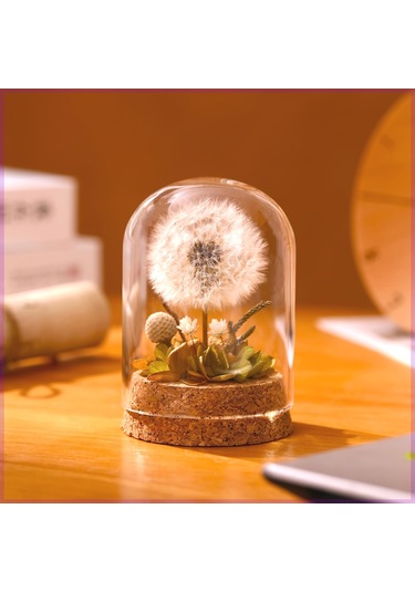 Mantar Tabanlı Sonsuz Karahindiba Cam Kubbe Süsü Kırmızı