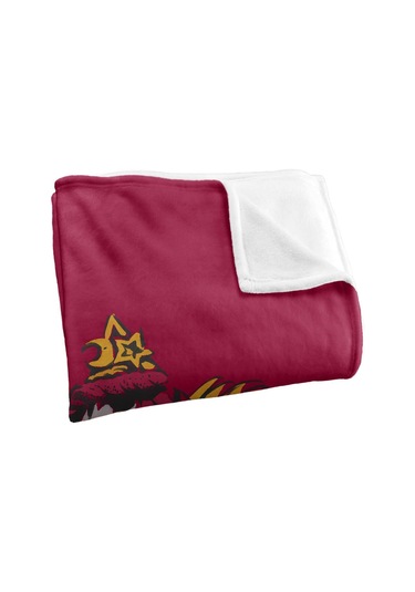 Harry Potter Gryffindor Boyalı Battaniye Tek Beden Çok Renkli Çok Renkli Diğer