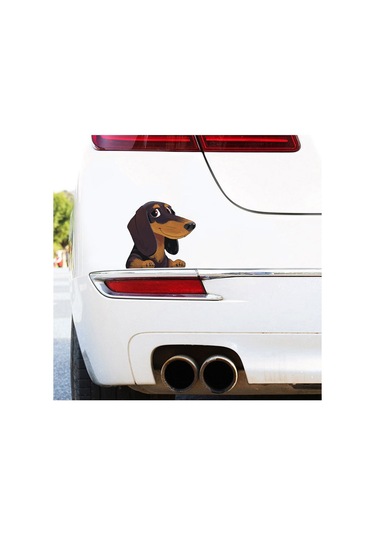 Sekiz Çizgi Film Köpek Yavrusu Araba Çıkartması Çok Renkli