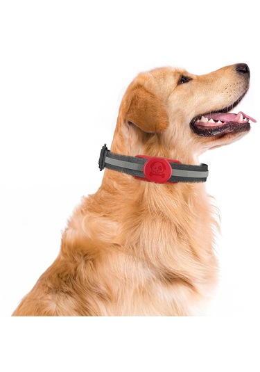 Buff Tagsafe Dogcol Taşınabilir Anahtarlık Airtag Kılıf Red