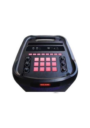 Leader LP-8100 8 incx2 RGB Taşınabilir Ses Sistemi