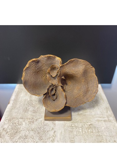 Büyük Kaideli Deniz Mercan