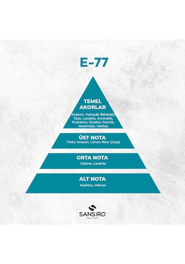 Sansiro E-77 Erkek Parfüm EDP 50 ML