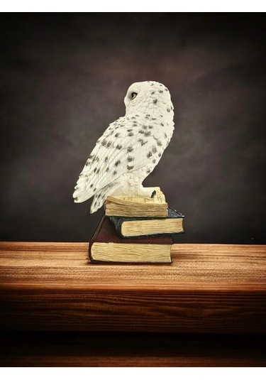 Luxxi Kitap Üstünde Kar Baykuşu Veronese - Ofis Ve Hediyelik Masaüstü Dekorotif Ürünler Ve Aksesuarl