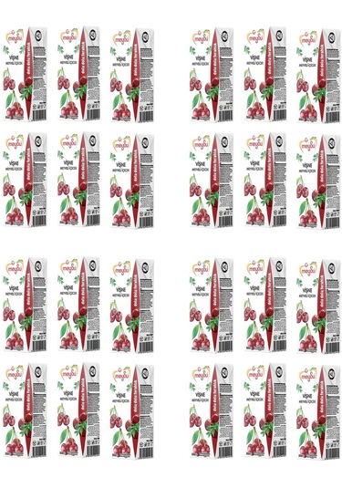 Meysu Vişne Meyveli İçecek 200 Ml X 24 Adet
