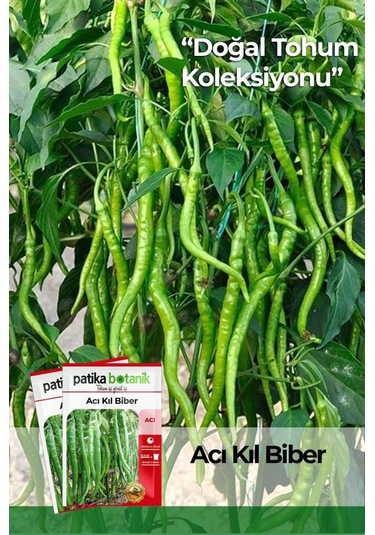 200 Adet Acı Kıl Biber Tohumu