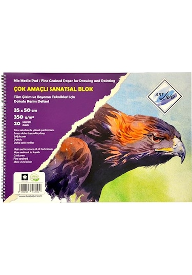 Art Liva Çok Amaçlı Resim Defteri 35x50 CM 350 g
