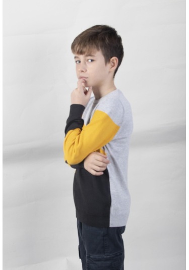 Alexandergardı Desenli Çocuk Triko Kazak C22-18937 10 001