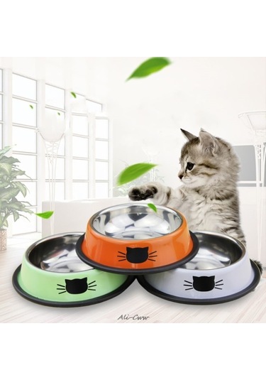 Cbtx Kaymaz Pet Paslanmaz Çelik Boyalı Kedi Maması Besleyici