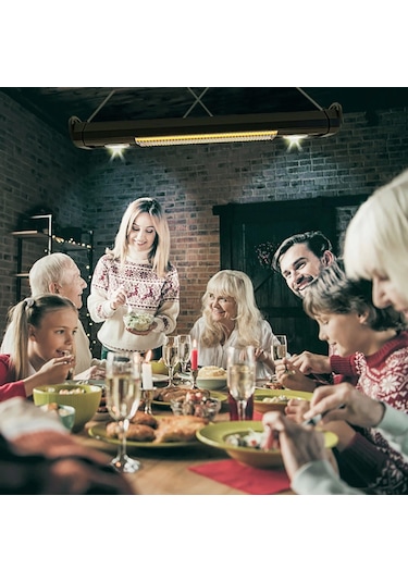 Mirkraft Vega 2500 W Sarkıt Tipi Karbon Infrared Isıtıcı