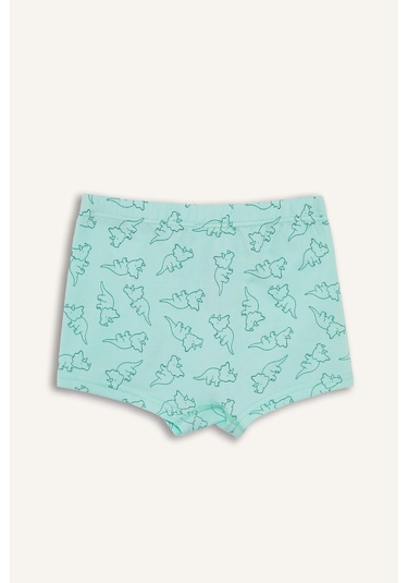 DeFacto Erkek Çocuk Desenli 3'lü Boxer E6877A825SPYL79