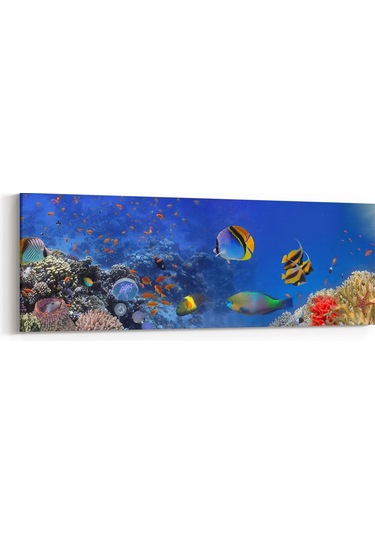 Olla 180x60 Cm 12144yı Akvaryum / Balık Görseli Yatay İnce Kanvas Tablo