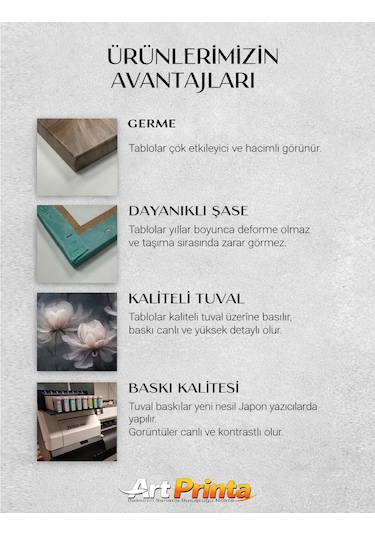 3 Lü Beyaz Çiçek Kanvas Tablo Seti
