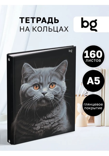 Bg Değiştirilebilir Bloklu Halkalı Defter 160 Yaprak 297250185