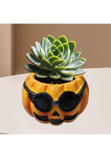 Suntek Kabak Saksı Hediye Dekorasyon Süsler Ev Mutfak Stil-b
