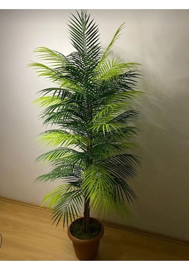 Rüzgar Yapay Çiçekçilik 150 Cm Palmiye Ağacı Yeşil