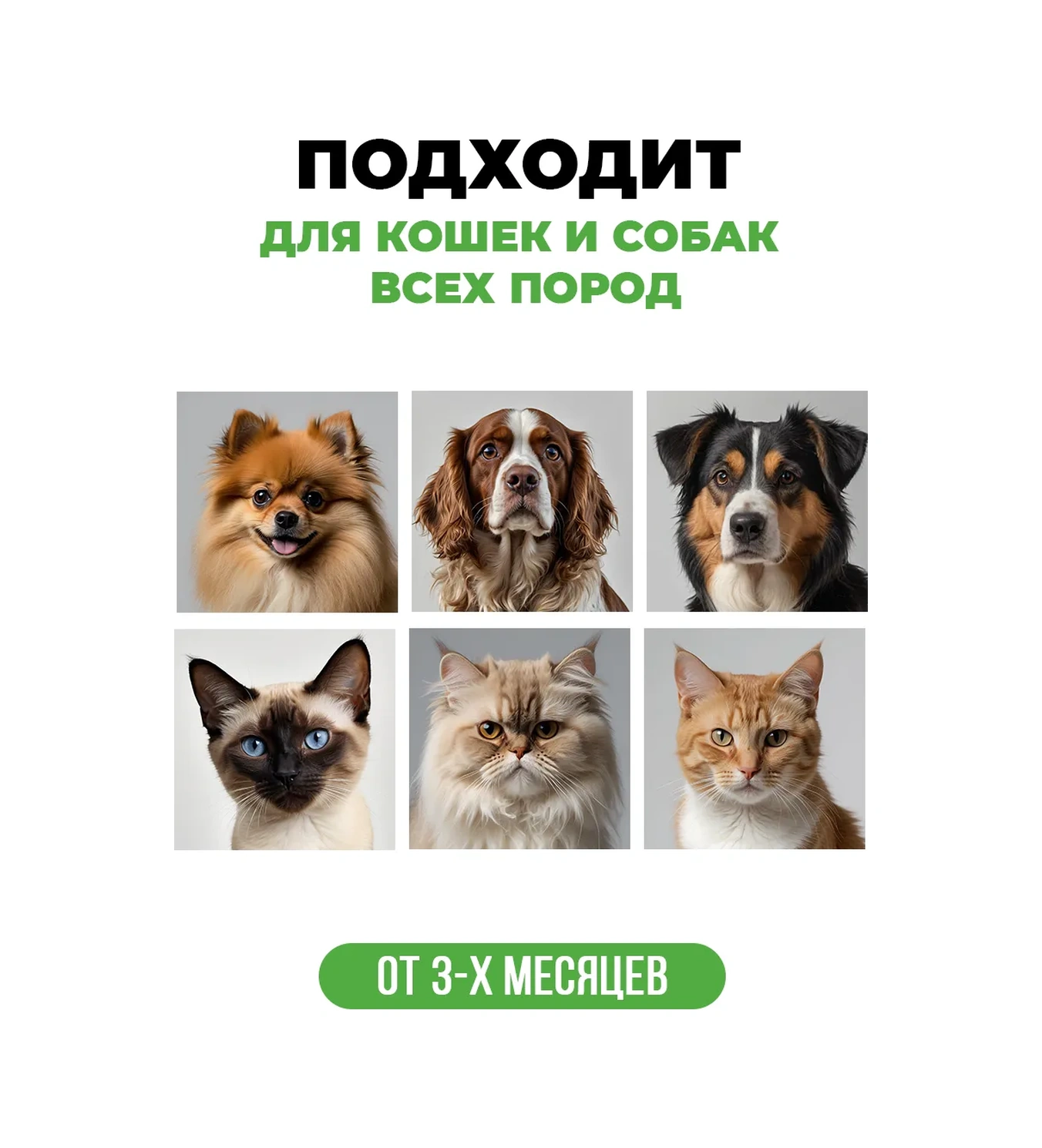 Spets Köpekler İçin Klima Seti Ve Klorheksidinli Şampuan 304882315